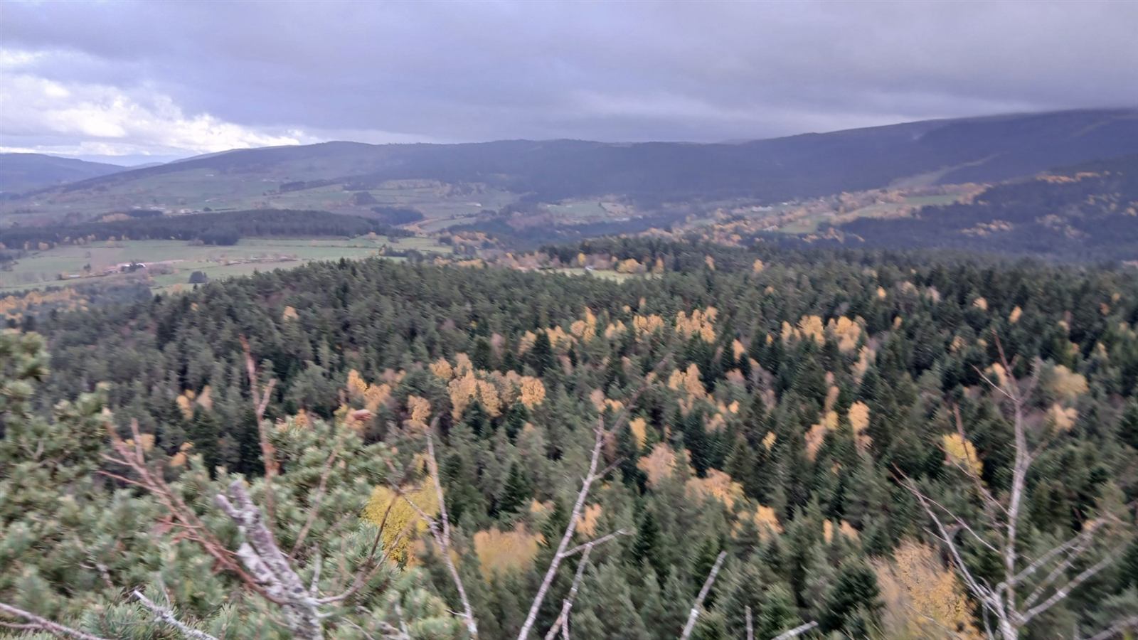 Vue sur les monts du Forez depuis les hauteurs de Chalmazel, forêt et vallée en automne
